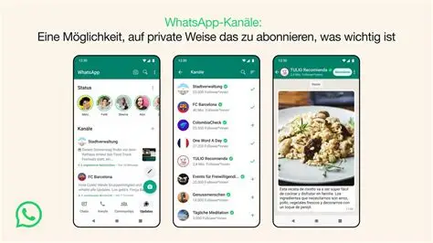 WhatsApp网页版登录遇难题?三步搞定电脑端聊天